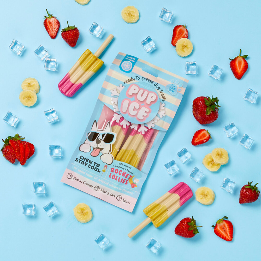 Pup Ice Hondenijsje Raket