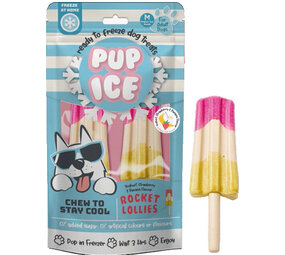 Pup Ice Hondenijsje Raket