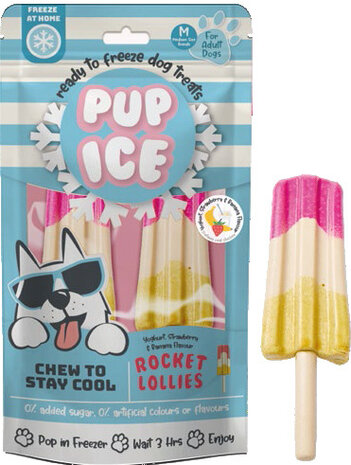 Pup Ice Hondenijsje Raket