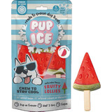 Pup Ice Hondenijsje Lolly Watermeloen