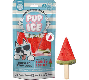 Pup Ice Hondenijsje Lolly Watermeloen