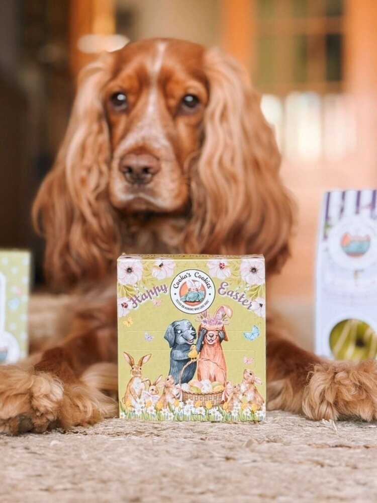 Cooka's Cookies Cooka's Cookies Paaseierenjacht - Paas Advent kalender