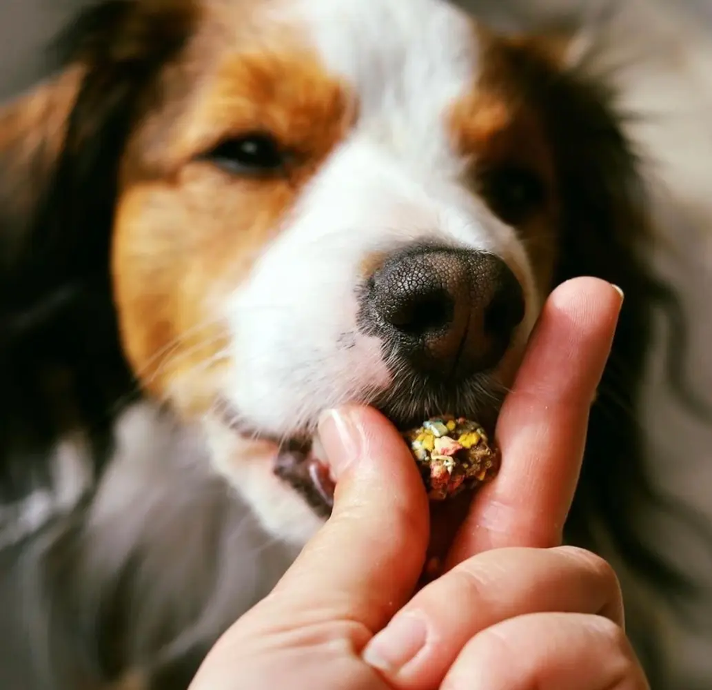 Cooka's Cookies Cooka's Cookies Happy BonBons