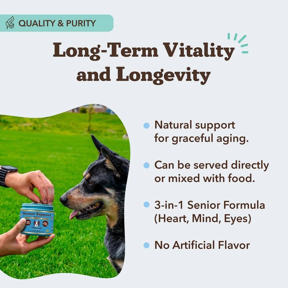Natural Dog Company Natural Dog Company Senior Support Chew