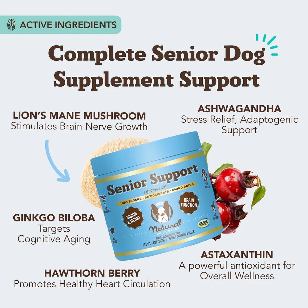Natural Dog Company Natural Dog Company Senior Support Chew