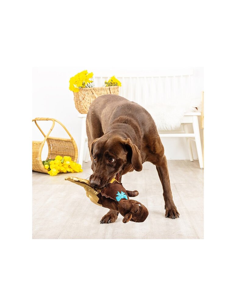 Petshop by Fringe studio Fringe Choc-a-saurus rex