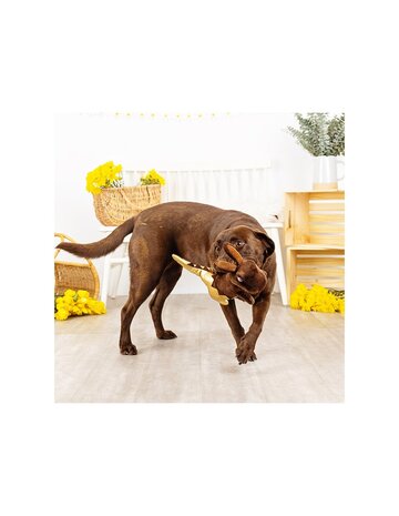 Petshop by Fringe studio Fringe Choc-a-saurus rex