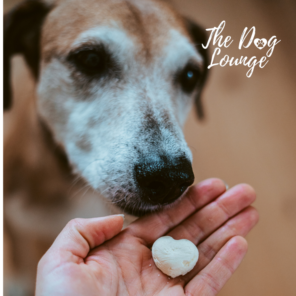 Pamico Pamico Geitenmelk gevriesdroogd