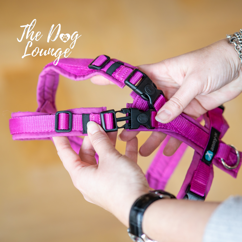 Anny-x Anny-x tuig Open (met sluitingen bij de nek)