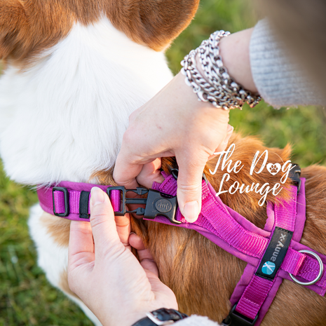 Anny-x Anny-x tuig Open (met sluitingen bij de nek)