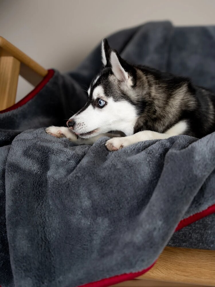 Trendpet Trendpet Ruby Droogdeken