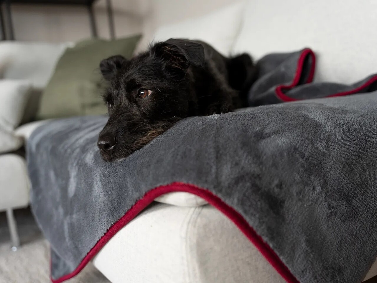 Trendpet Trendpet Droogdeken Ruby