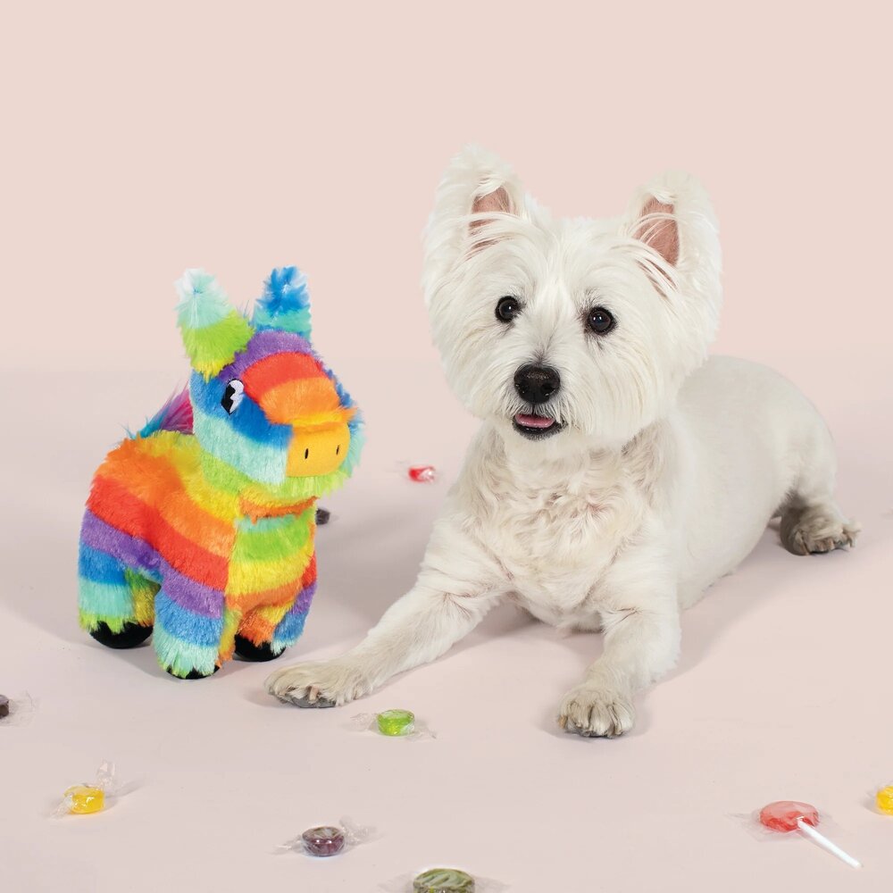 Petshop by Fringe studio Fringe Full O'fun! Dog Toy