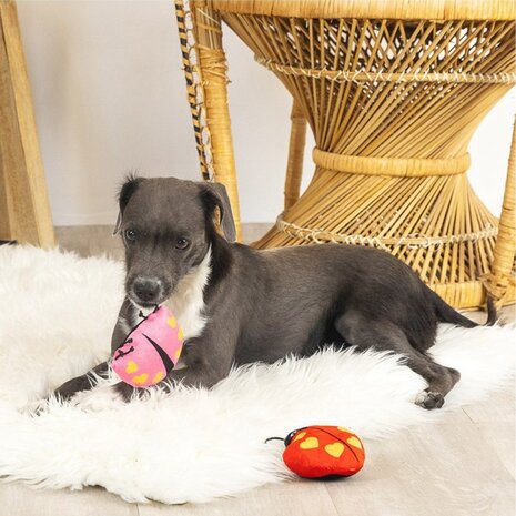 Petshop by Fringe studio Fringe Set Buggy for you