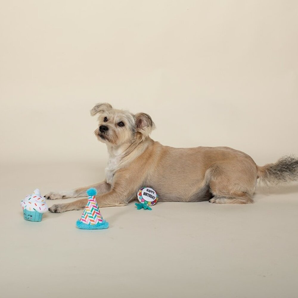 Petshop by Fringe studio Fringe Set Happy Barkday
