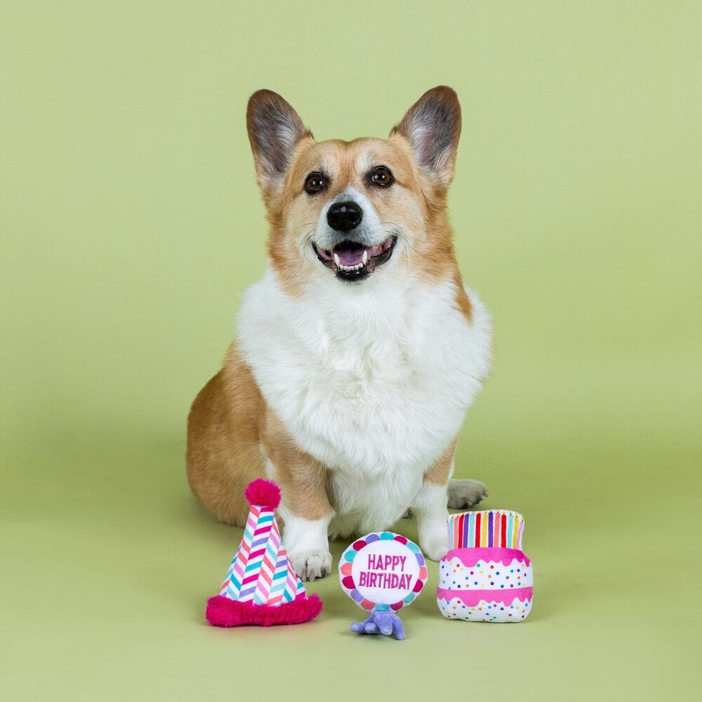 Petshop by Fringe studio Fringe Set Can I get a Woof Woof