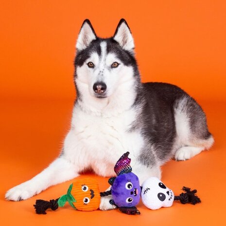 Petshop by Fringe studio Fringe Literally Dead Cute Touwspeeltje