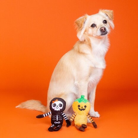 Petshop by Fringe studio Fringe Set Oh My Gourd