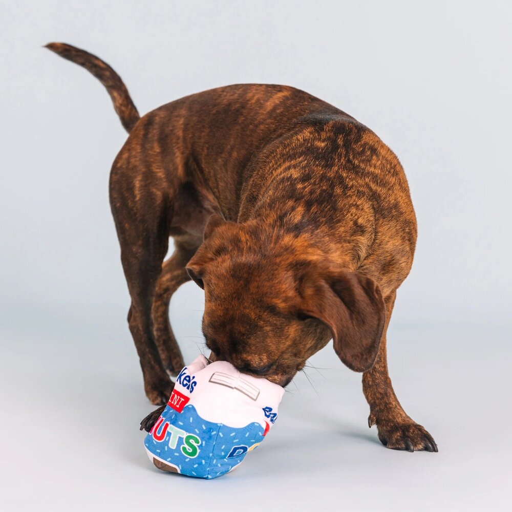 Petshop by Fringe studio Fringe Eat more hole foods Burrow