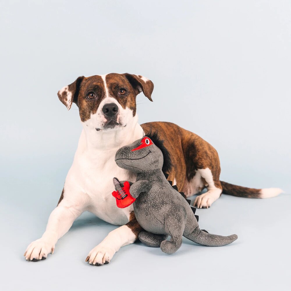 Petshop by Fringe studio Fringe Rocker Rex