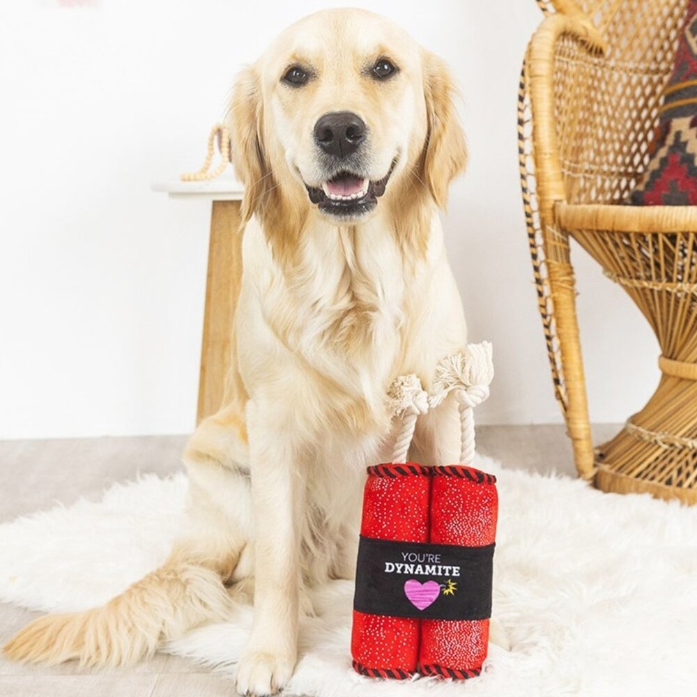 Petshop by Fringe studio Fringe You're Dynamite Touw