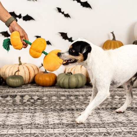 Petshop by Fringe studio Fringe Stack-o-lantern Touw