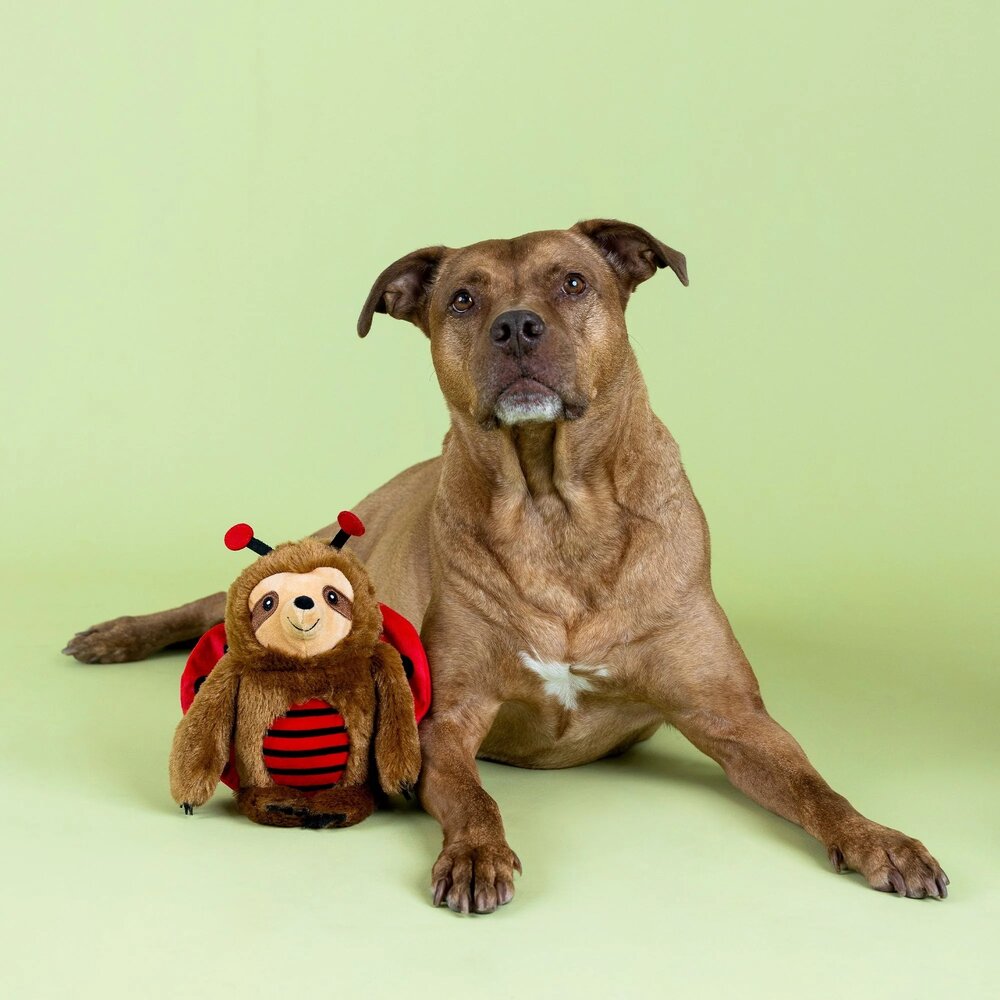 Petshop by Fringe studio Fringe Little Ladybug