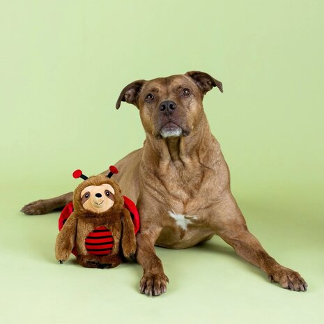 Petshop by Fringe studio Fringe Little Ladybug