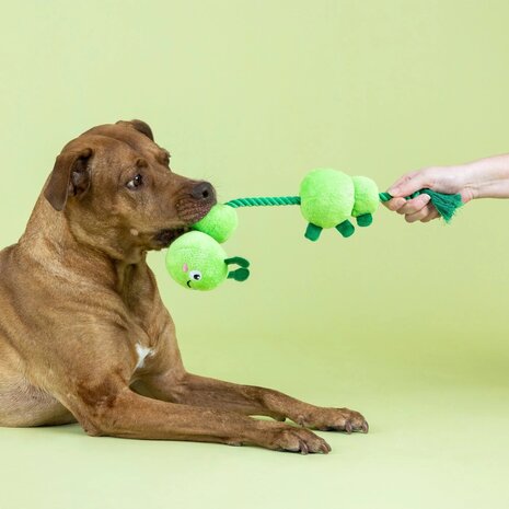 Petshop by Fringe studio Fringe Pillar Of Society Touw