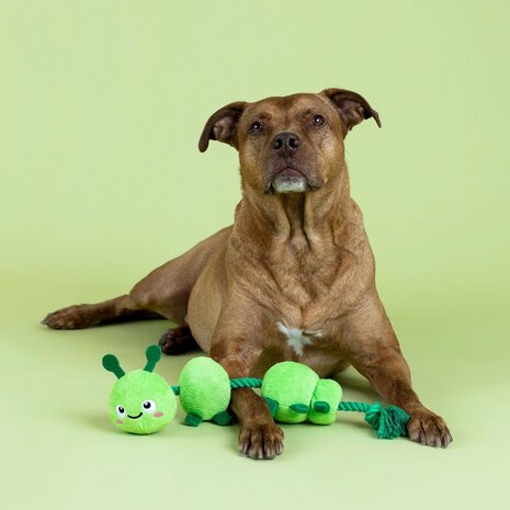 Petshop by Fringe studio Fringe Pillar Of Society Touw