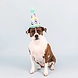 Petshop by Fringe studio Fringe Cheers For a Barkday