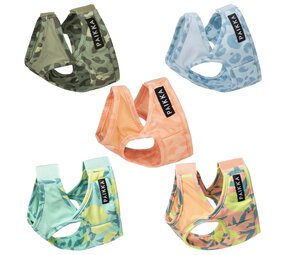 Paikka Paikka Koelvest