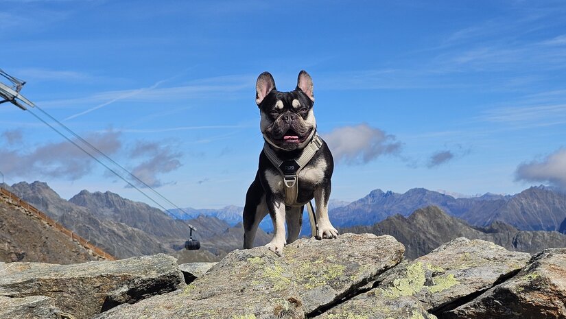 Op actieve vakantie met je hond:  wat neem je mee? (mijn eigen eerste ervaring)