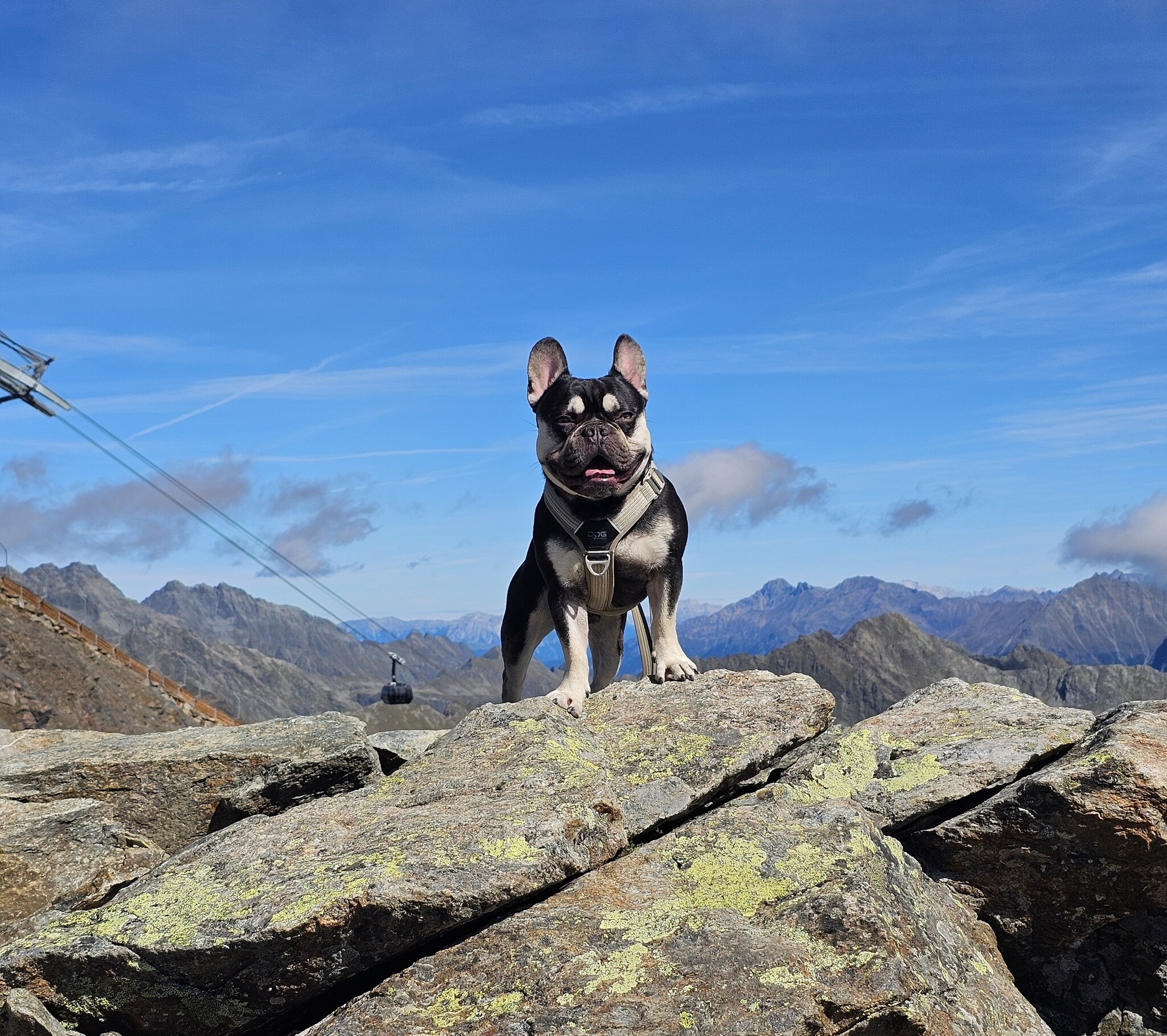 Op actieve vakantie met je hond:  wat neem je mee? (mijn eigen eerste ervaring)