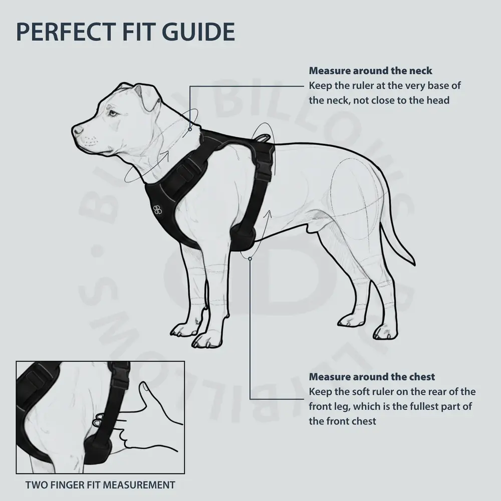 BullyBillows BullyBillows Premium Harness Green Camouflage