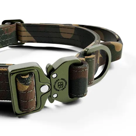 BullyBillows Bullybillows 2.5cm Lighter Combat Collar Green Camouflage