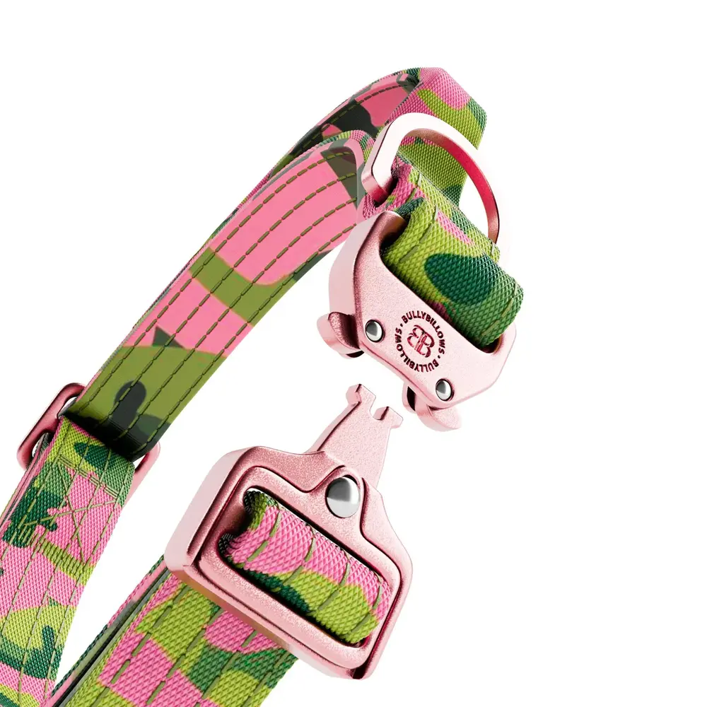 BullyBillows Bullybillows 2.5cm Lighter Combat Collar Pink Camouflage