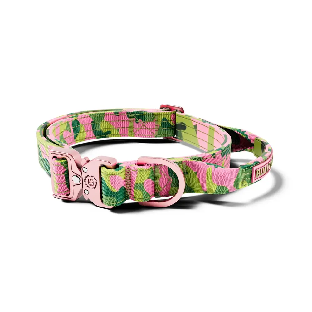 BullyBillows Bullybillows 2.5cm Lighter Combat Collar Pink Camouflage