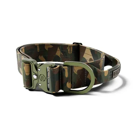 BullyBillows Bullybillows Lighter Combat Collar 5cm Green Camouflage