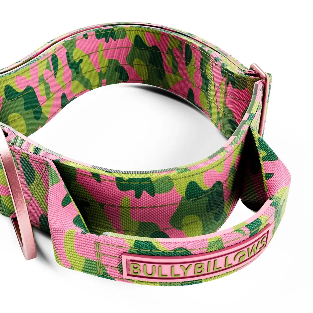 BullyBillows Bullybillows Lighter Combat Collar 5cm Pink Camouflage