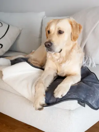 Trendpet Trendpet Waterdichte Hondendeken Pearl Trendpet Trendpet Waterdichte Hondendeken Pearl