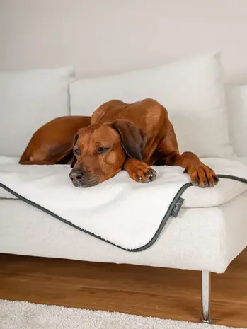 Trendpet Trendpet Waterdichte Hondendeken Pearl Trendpet Trendpet Waterdichte Hondendeken Pearl