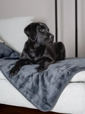 Trendpet Trendpet Waterdichte Hondendeken Pearl Trendpet Trendpet Waterdichte Hondendeken Pearl