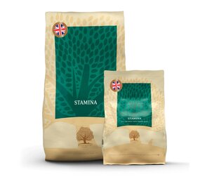 Essential Foods Essential Foods - Stamina