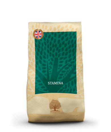 Essential Foods Essential Foods - Stamina