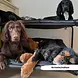 HIK9 Verhogingspoten voor HIK9 bed