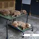 HIK9 Verhogingspoten voor HIK9 bed