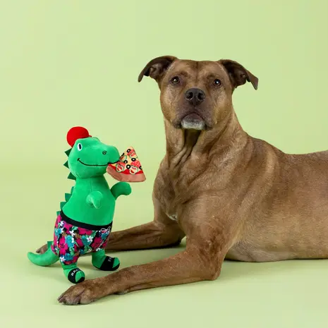 Petshop by Fringe studio Fringe Pizzasaurus Rex