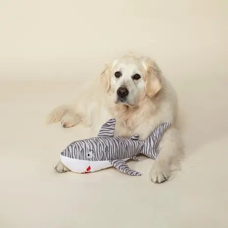 Petshop by Fringe studio Fringe Tigershark XXL