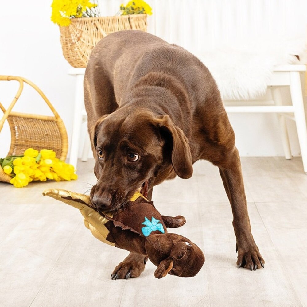 Petshop by Fringe studio Fringe Choc-a-saurus Rex